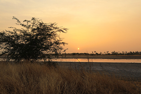 Sunset