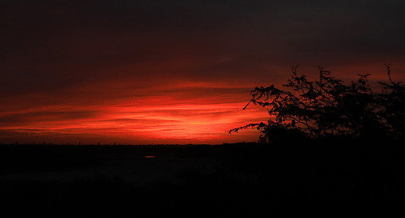 Sunrise