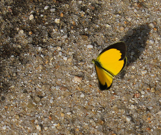 South Africa