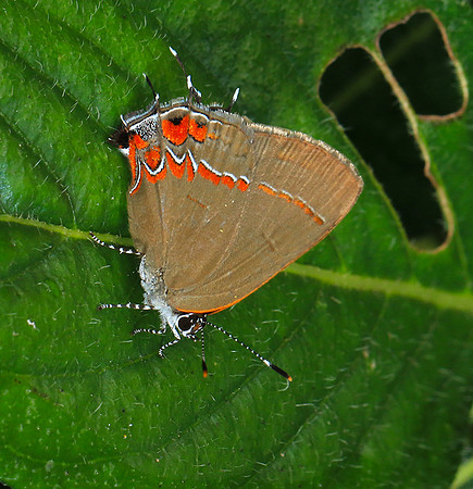 Costa Rica
