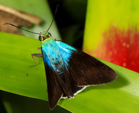 Costa Rica