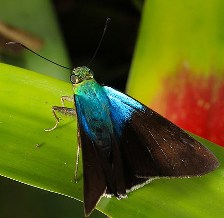 Costa Rica