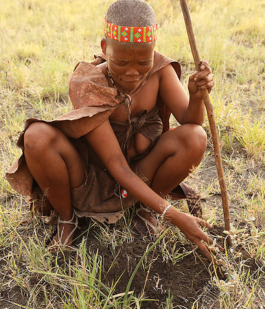 Bushmen Junxwazy - Makgadikgadi