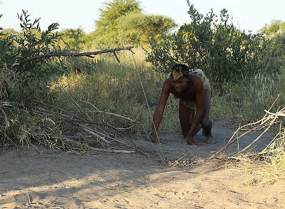 Bushmen - Central Kalahari