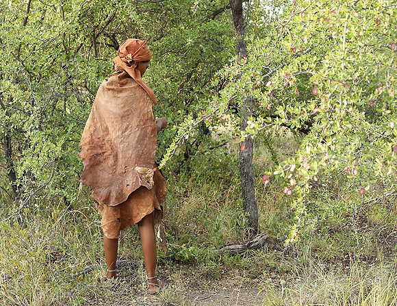 Bushmen Junxwazy - Makgadikgadi