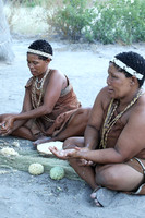 Bushmen - Central Kalahari