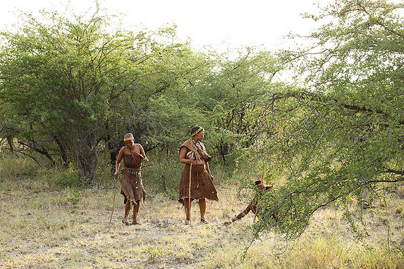 Bushmen Junxwazy - Makgadikgadi