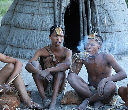 Bushman - Central Kalahari