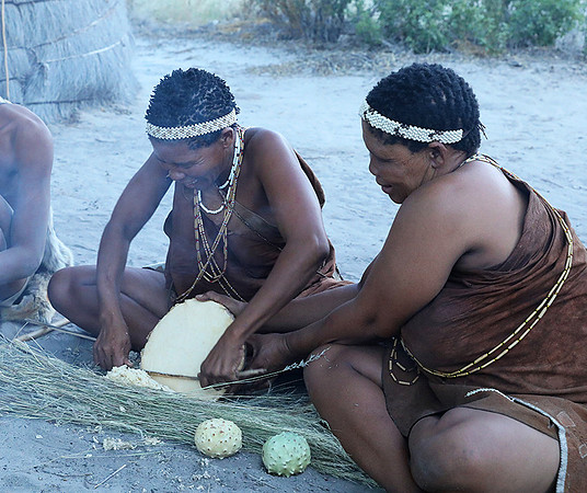 Bushmen - Central Kalahari