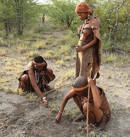 Bushmen Junxwazy - Makgadikgadi