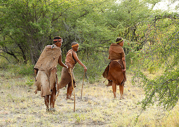 Bushmen Junxwazy - Makgadikgadi