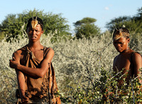 Bushmen - Central Kalahari
