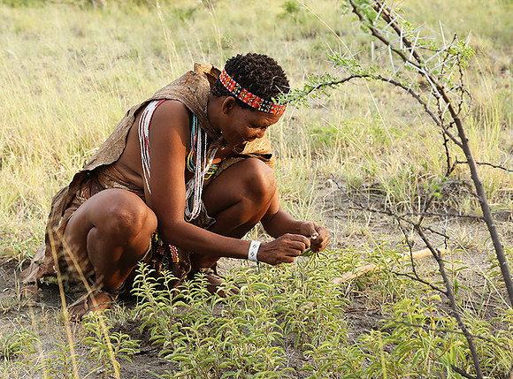 Bushmen - Makgadikgadi - Kalahari