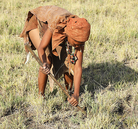 Bushmen Junxwazy - Makgadikgadi