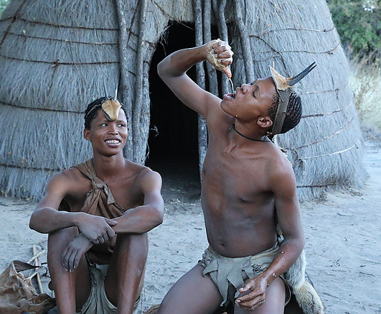 Bushmen - Central Kalahari