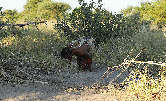 Bushmen - Central Kalahari