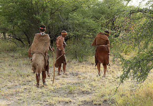 Bushmen Junxwazy - Makgadikgadi