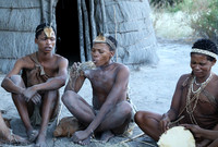 Bushmen - Central Kalahari