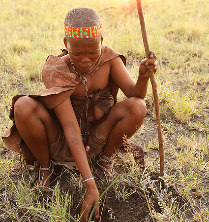 Bushmen Junxwazy - Makgadikgadi