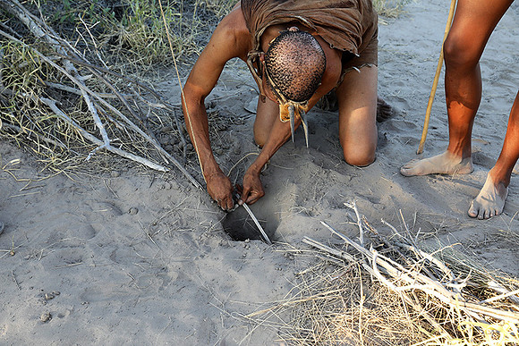Bushmen - Central Kalahari