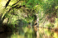 Reflection in a river - Meru National Park - Kenya