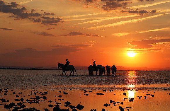 Sunrise - Camargue