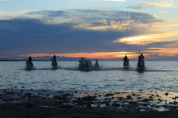 Sunrise - Camargue