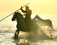 Sunrise - Camargue