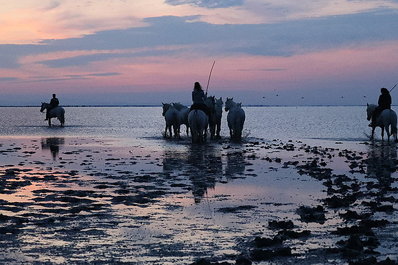 Sunrise - Camargue