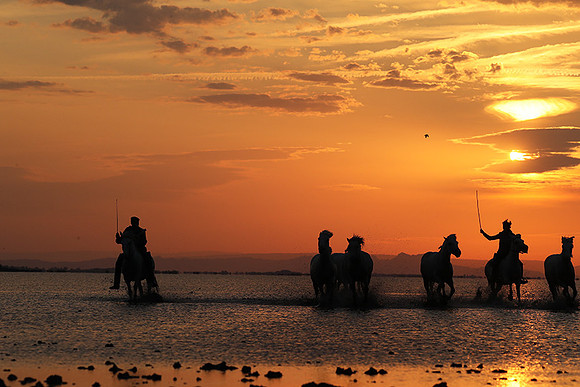 Sunrise - Camargue