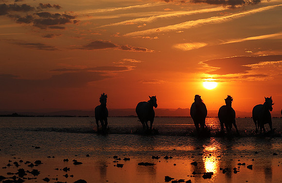 Sunrise - Camargue