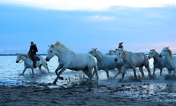 Sunrise - Camargue