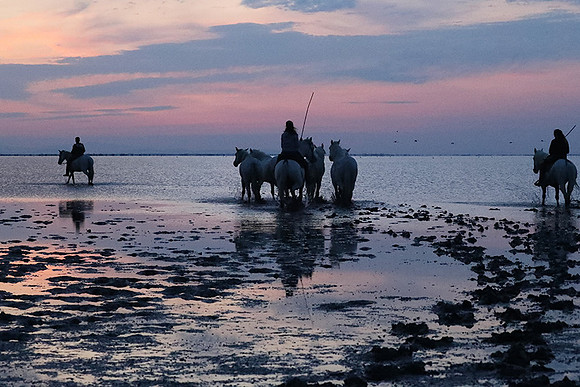 Sunrise - Camargue