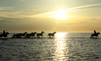 Sunrise - Camargue