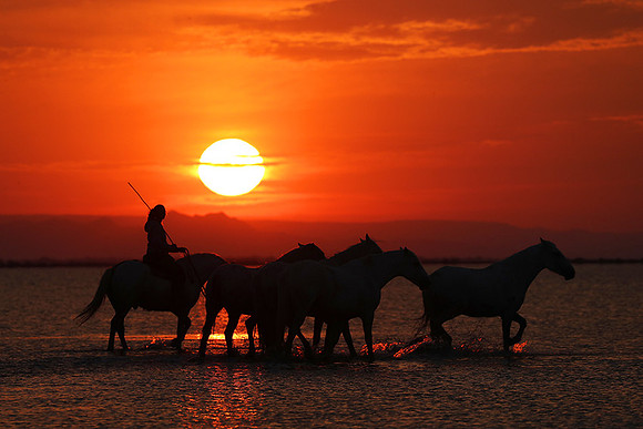 Sunrise - Camargue