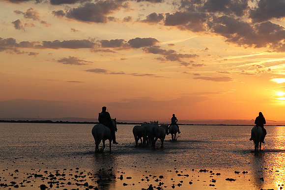 Sunrise - Camargue