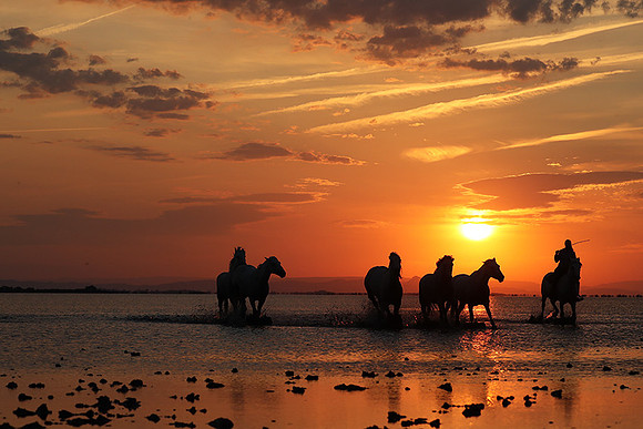 Sunrise - Camargue