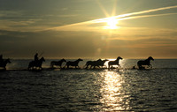 Sunrise - Camargue