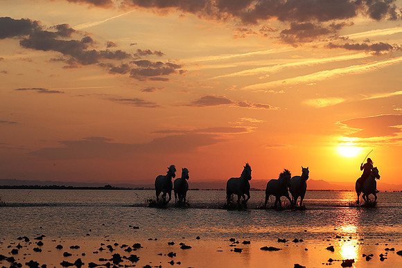 Sunrise - Camargue