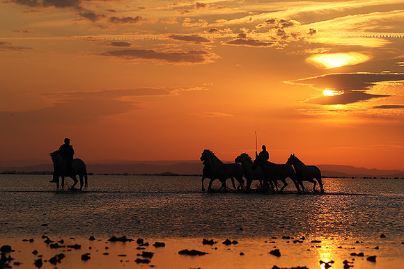 Sunrise - Camargue