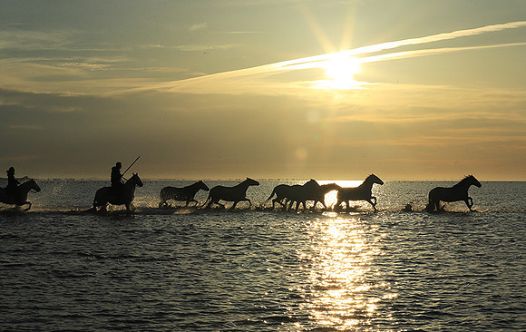 Sunrise - Camargue