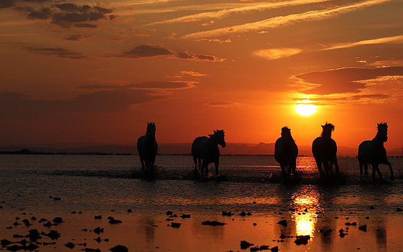 Sunrise - Camargue