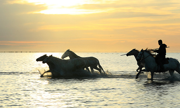 Sunrise - Camargue