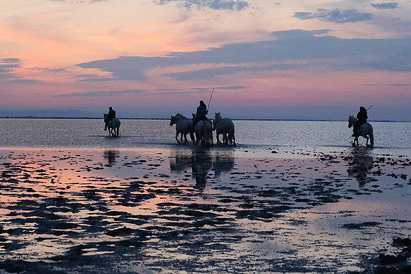Sunrise - Camargue