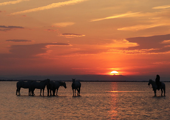 Sunrise - Camargue
