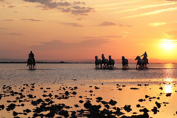 Sunrise - Camargue