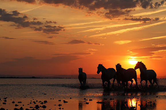 Sunrise - Camargue