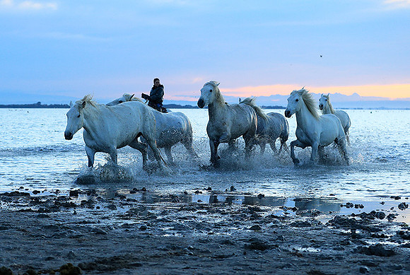 Sunrise - Camargue