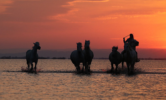 Sunrise - Camargue