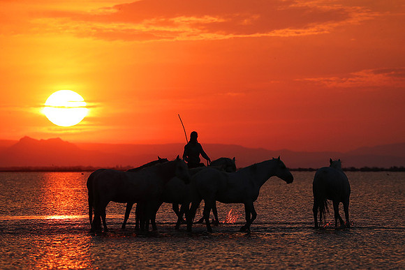 Sunrise - Camargue